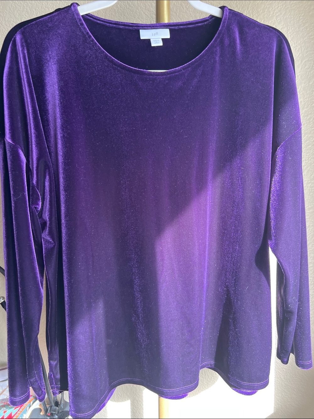 Plush Moody spirit Witchy Practical Magic Velvet Long-Sleeve Top - Purple